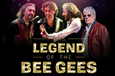 Tribute to Bee Gees