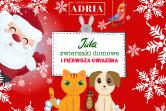 Jula, zwierzaki domowe i pierwsza gwiazdka