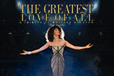 Tribute to Whitney Houston