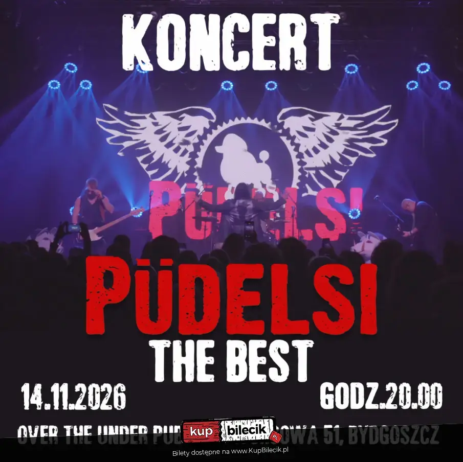 Pudelsi