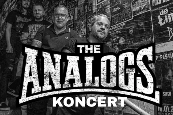 The Analogs