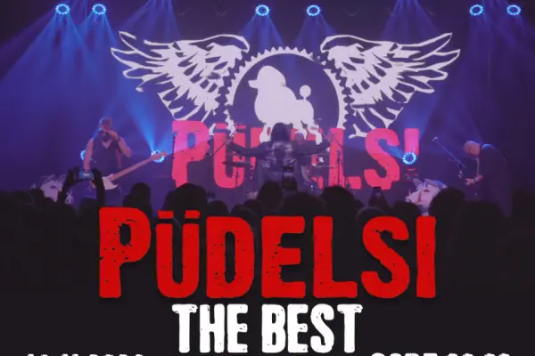 Pudelsi