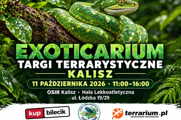 Exoticarium - Targi Terrarystyczne + Wystawa Pająków