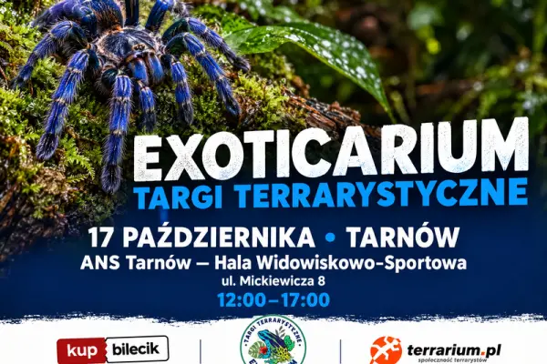 Exoticarium - Targi Terrarystyczne + Wystawa Pająków