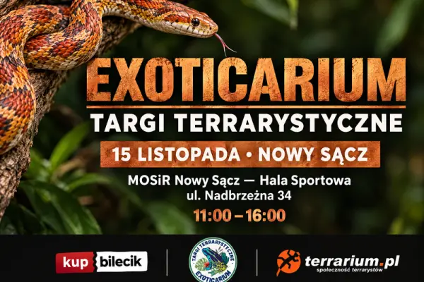 Exoticarium - Targi Terrarystyczne + Wystawa Pająków