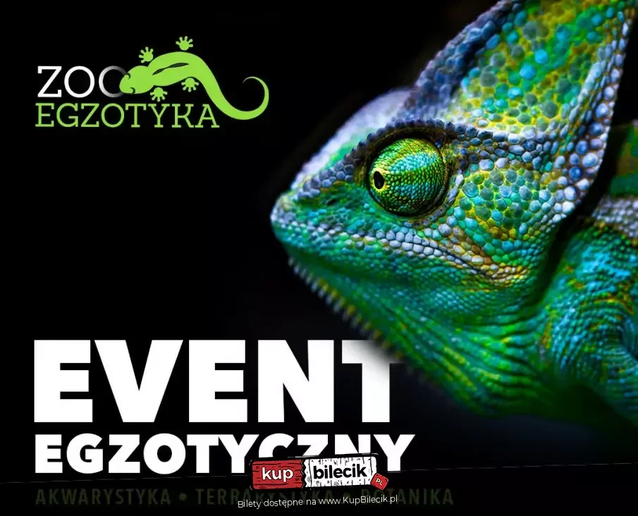 ZooEgzotyka