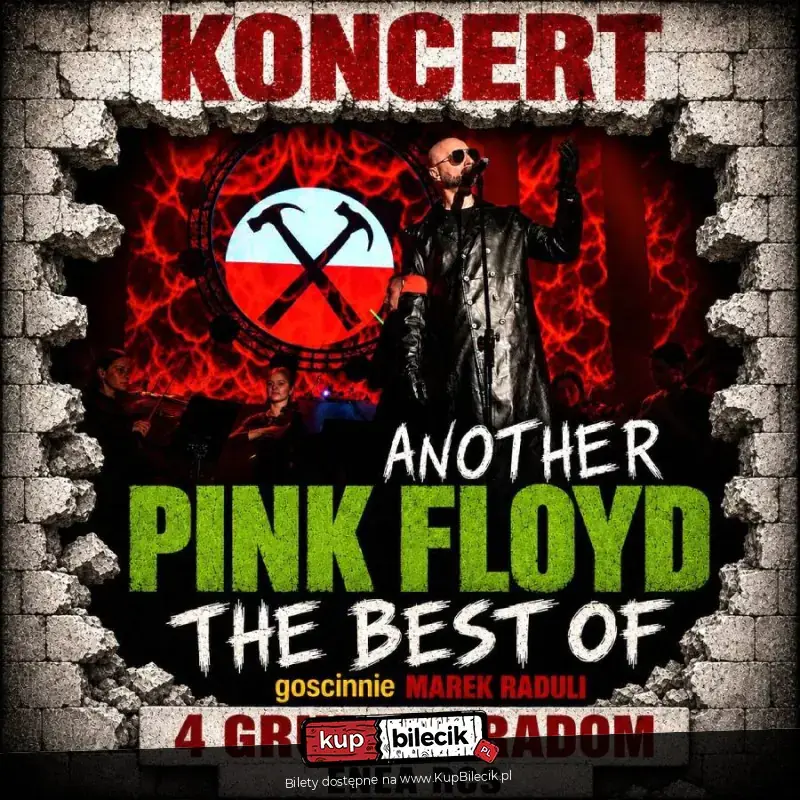 Another Pink Floyd Tribute Band